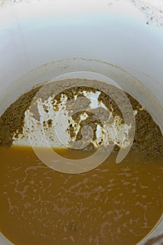 Trub left in the bottom of a primary fermenting bu