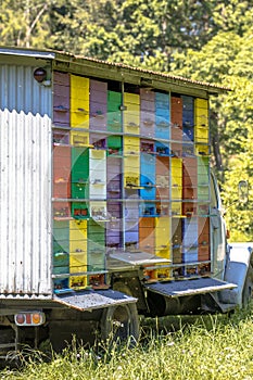 Truck with beehives