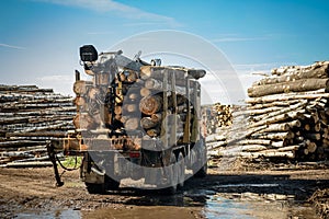 Truck carrying wood