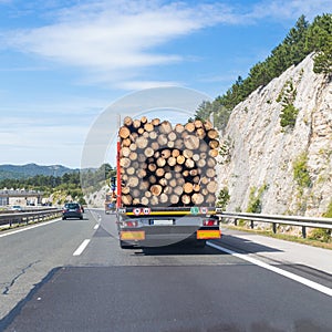Truck carrying wood on motorway.