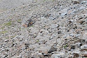 Truck crash or accident falling over the cliff of a dangerous road.