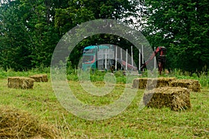 A truck with an empty trailer travels on rural roads to load the felled forest. Dried grass and bales in the field, pressed hay in