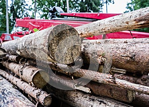 Truck fully loaded with logs 01