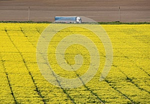 Truck goes on the road on flowering rape field. rural landscape with road and truck, top view