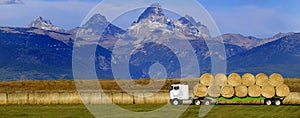 Truck Hauling Hay with Teton Mountains in Background