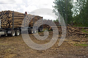 Truck hauling logs