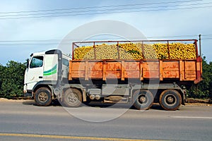 Truck load of oranges