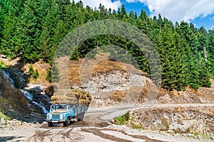 Truck loaded with hay rides on goderdzi pass, Ajara