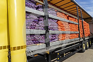 Truck Loaded With Mesh Bags of Fresh, Red and Yellow Onion for Distribution To Market