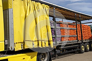 Truck Loaded With Palletized Onion Bags Wrapped in Netting