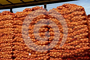 Truck Loaded With Palletized Onion Bags Wrapped in Netting, Ready for Transportation