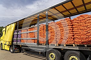 Truck Loaded With Pallets of Fresh Red and Yellow Onion for Distribution To Market
