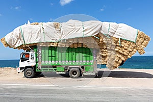 Truck loaded with straw on the road of Taghazout - Morocco