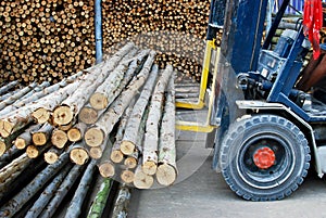 Truck loading pile of wood in logs storage