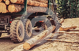 Truck loading wood in the forest. Felling of trees,cut trees , forest cutting area, forest protection concept