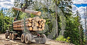 Truck loading wood in the forest. Loading logs onto a logging truck. Portable crane on a logging truck. Forestry