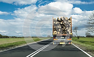 A truck on motorway transporting logs
