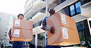 Truck Movers Carrying Boxes