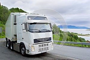 Camion sul norvegese strade 