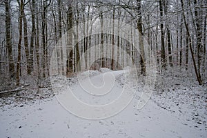 Truck on the road covered with snow in winter forest, Germany