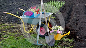 Truck and shovel in the garden