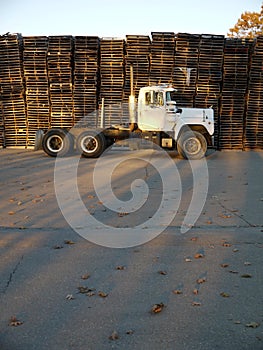 Truck: side view with stacked pallets