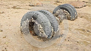 Truck tires buried in a beach