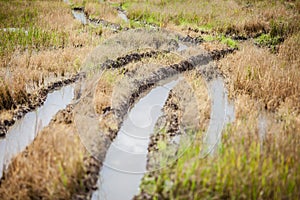 Truck tires footprint on the mud