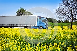 Truck transport on the road