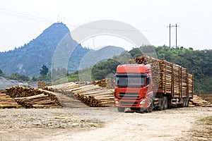 Truck transportation in log yard