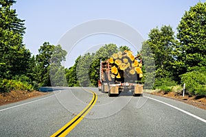 Truck transporting logs near Redding, California