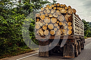 Truck transporting timber