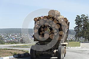The truck transports the cut trees. Large transport loaded. Timber transports lumber