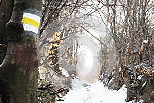 Truck for turist in winter mountains. path in kloof.