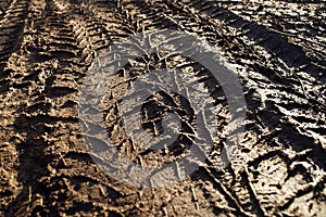 Truck tyre tread print on wet ground