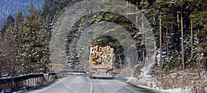 Truck with wood logs driving