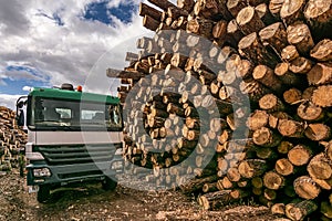 Truck in wooden warehouse for transportation