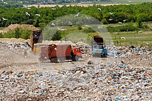 Truck working in landfill with birds looking for food. Garbage on the city dump. Soil pollution. Environmental protection.