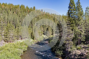 Truckee River Bends through California Wilderness