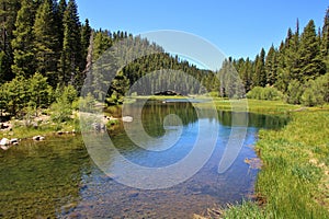 Truckee River Scenery