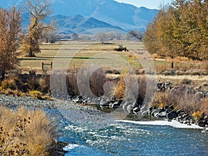 Truckee River through Wadsworth, Nevada photo