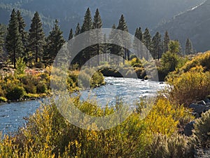 The Truckee River west of Reno, Nevada