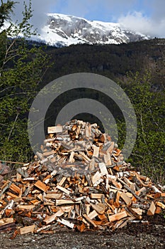 A truckload of firewood