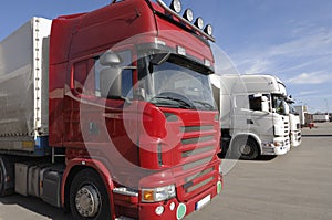 Trucks lined up for cargo-dock