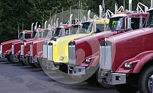 Trucks parked in a row.