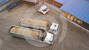 Trucks with potatoes at the potato processing factory top view