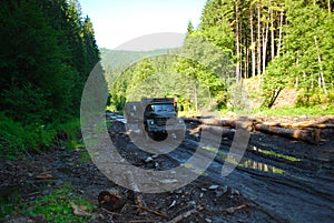 Trucks ride on a mountain forest road. Dirty road after the rain. Off-road