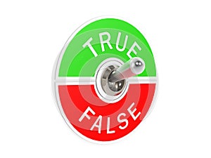 True false toggle switch