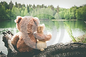 True friends, bunny and teddy bear are sitting side by side at lake, dreaming and remembering. Look forward. Back view