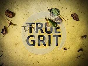 True Grit Sign